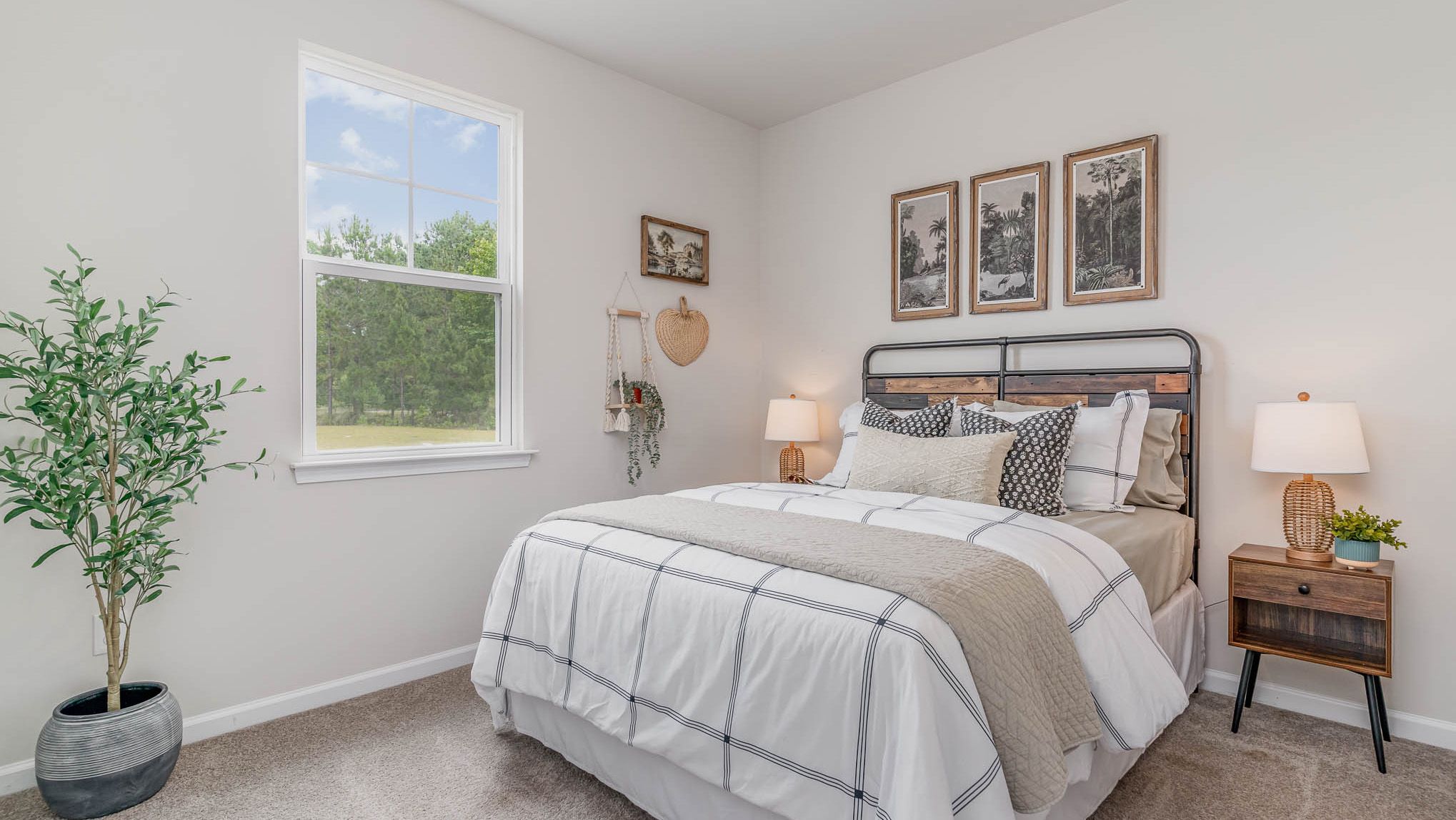 323 Ridley Street (KERRY)