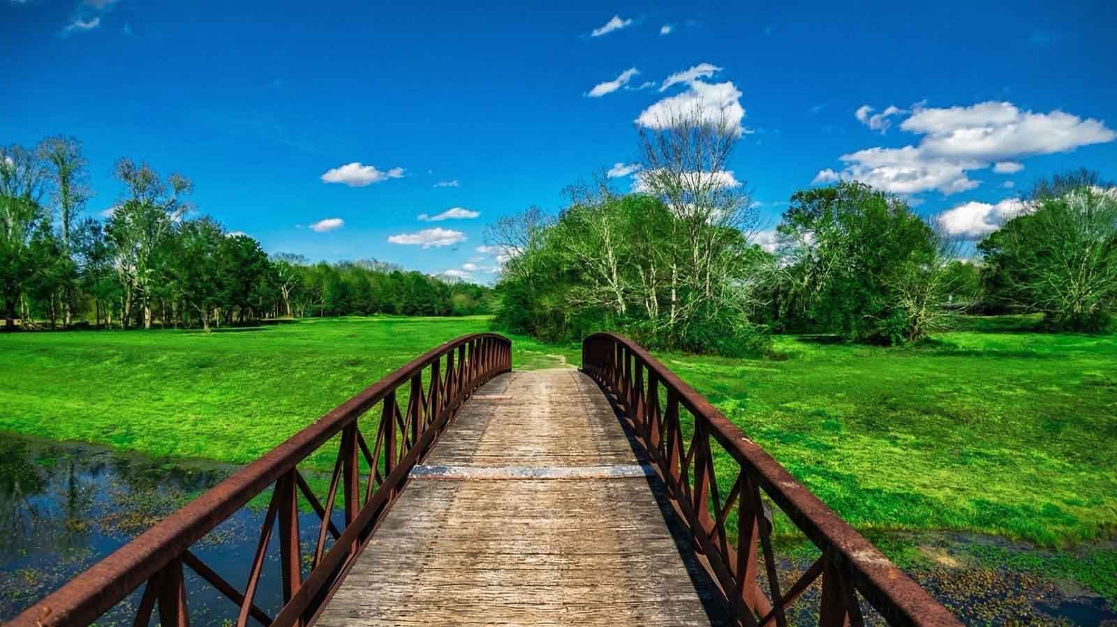 Subdivision Image 10