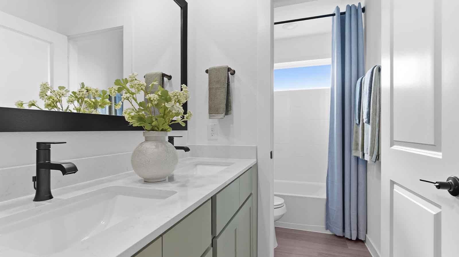 Subdivision Image 17