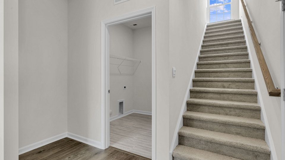 Elevation Image 4.