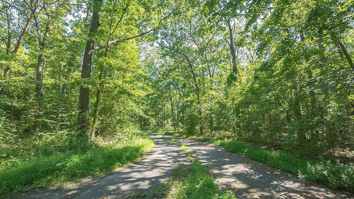 Subdivision Image 45