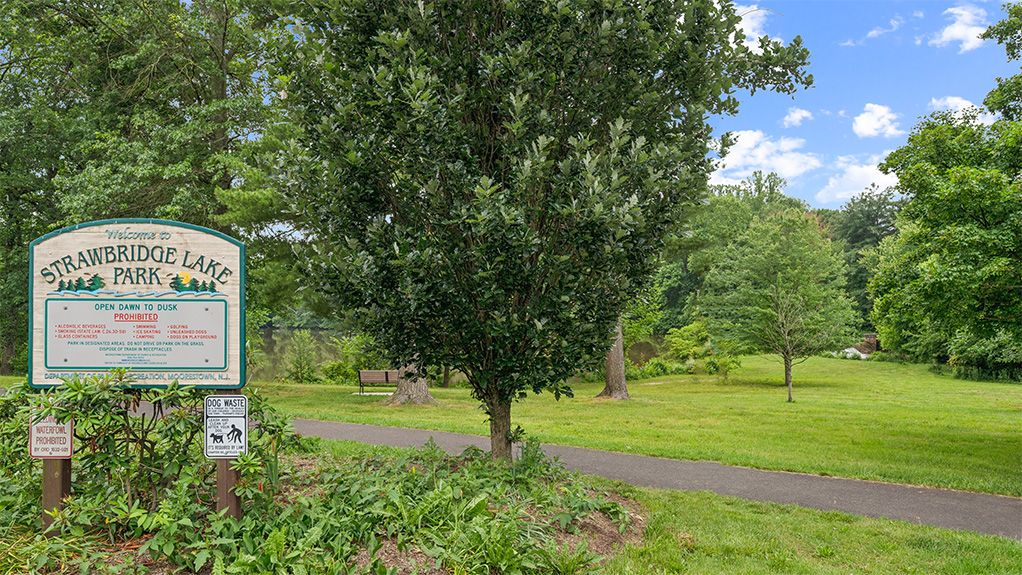 Subdivision Image 42