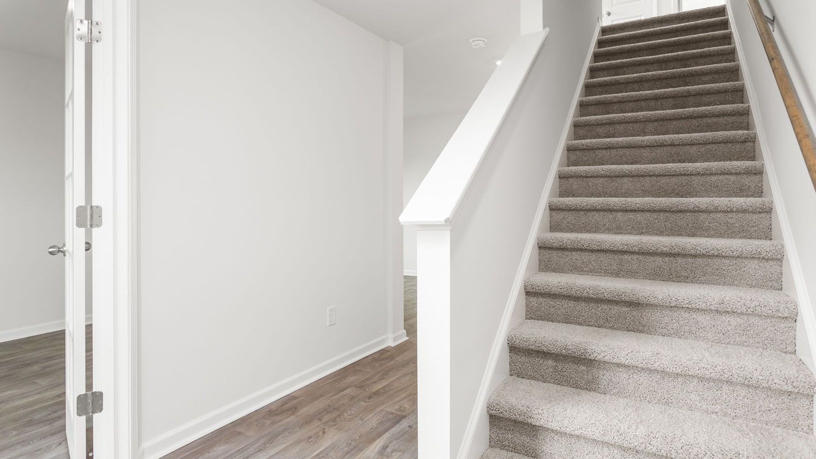 Elevation Image 1.