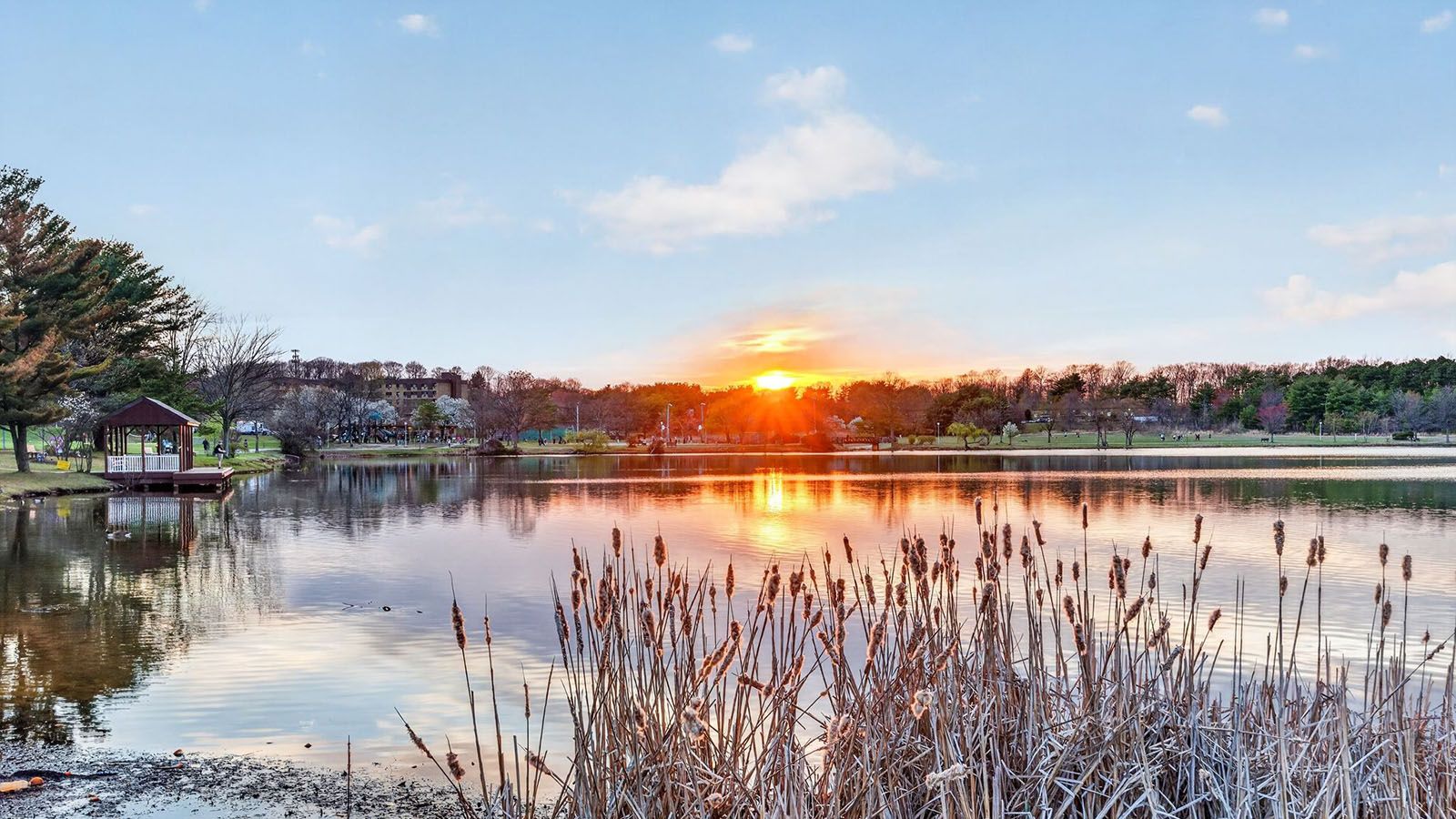 Subdivision Image 28