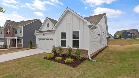 Elevation Image 1.