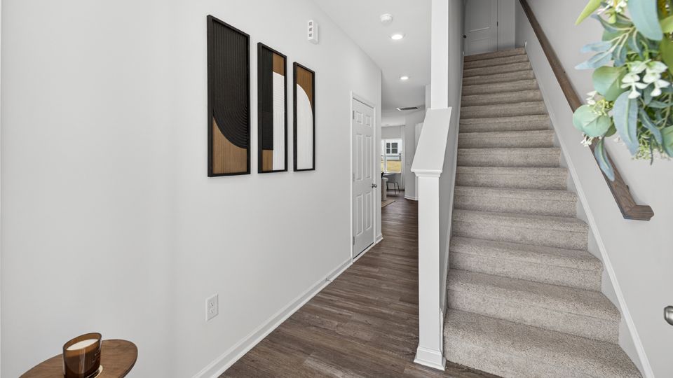 Elevation Image 3.