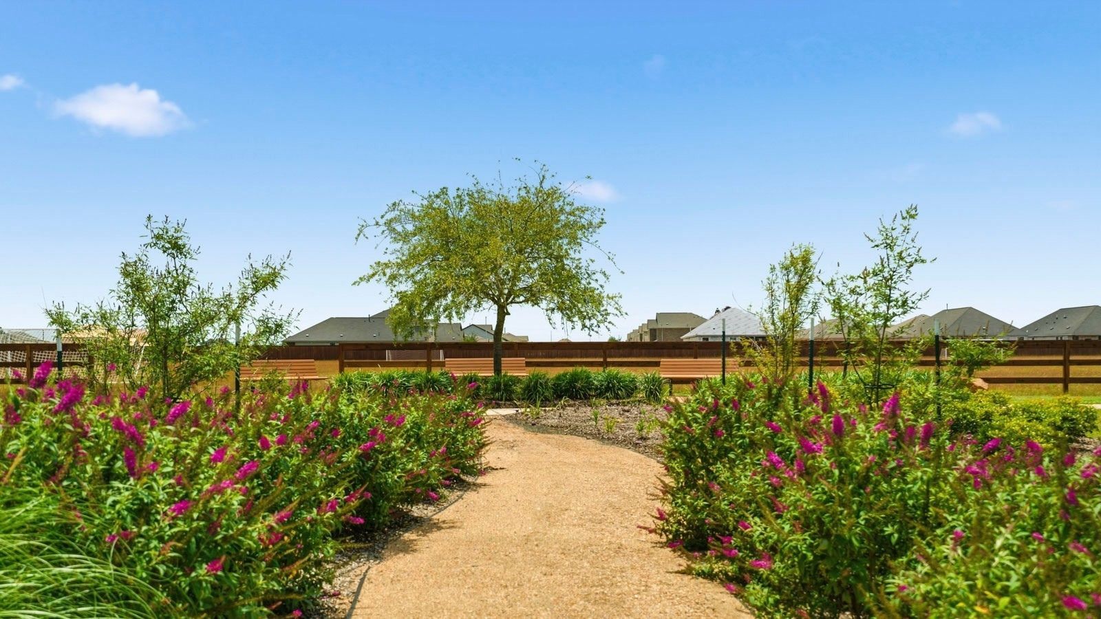 Subdivision Image 4