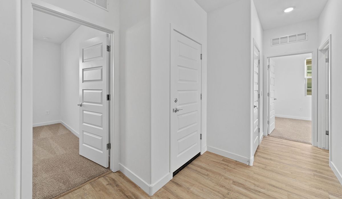 Elevation Image 5.