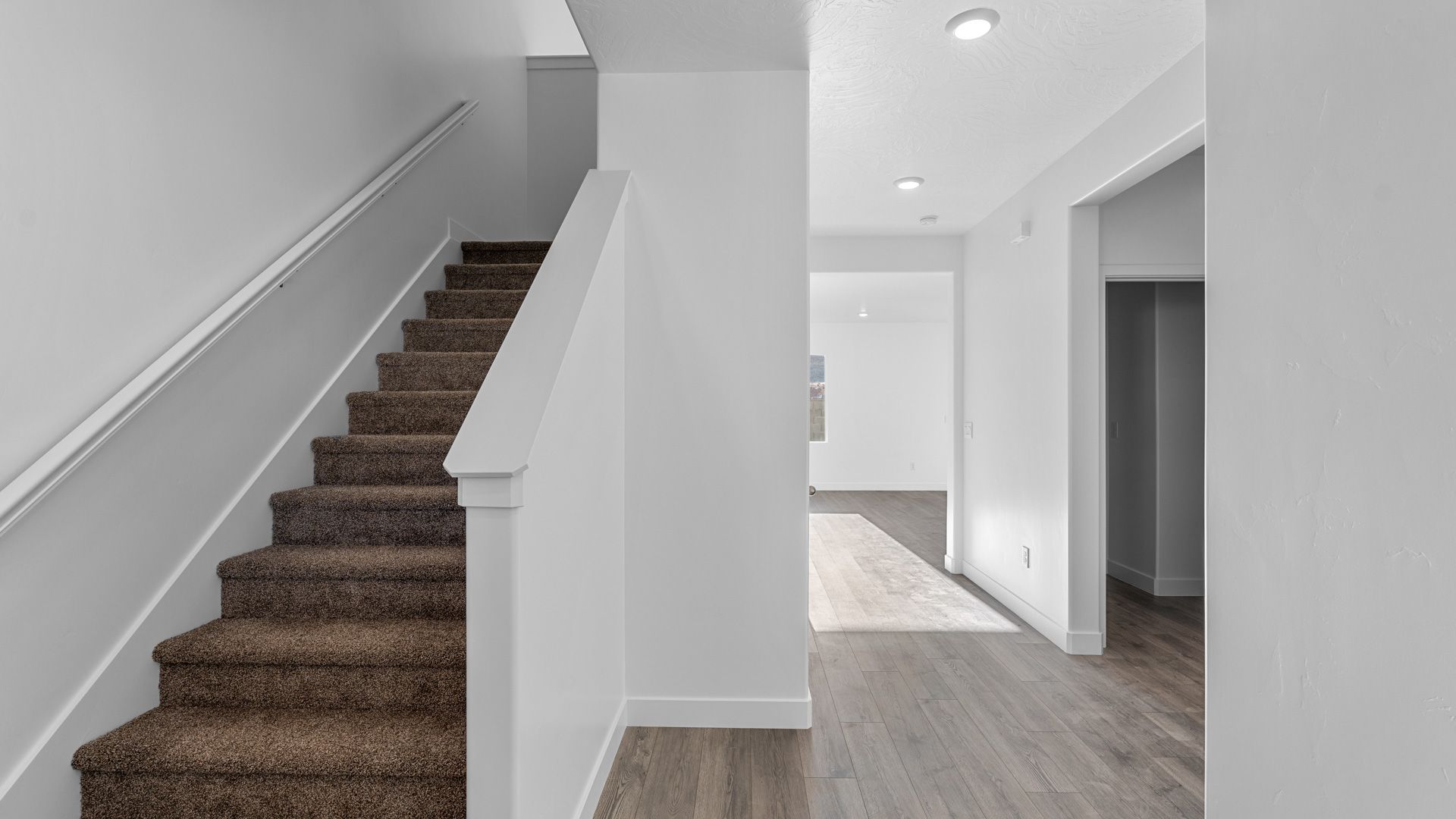 Elevation Image 1.