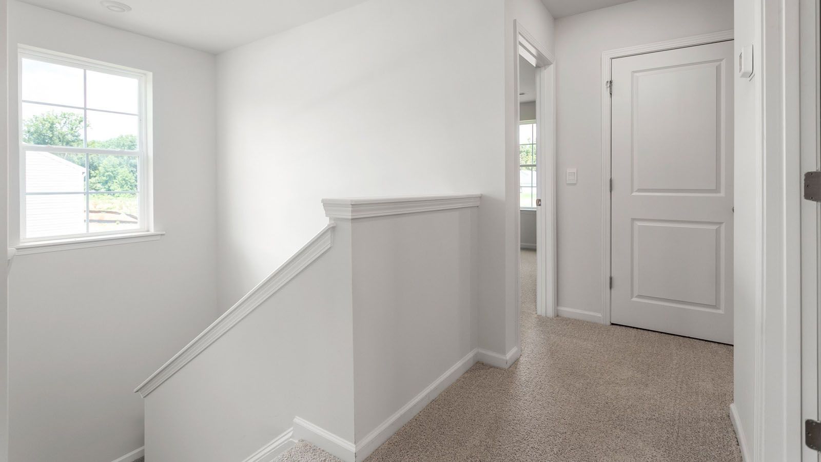 Elevation Image 12.
