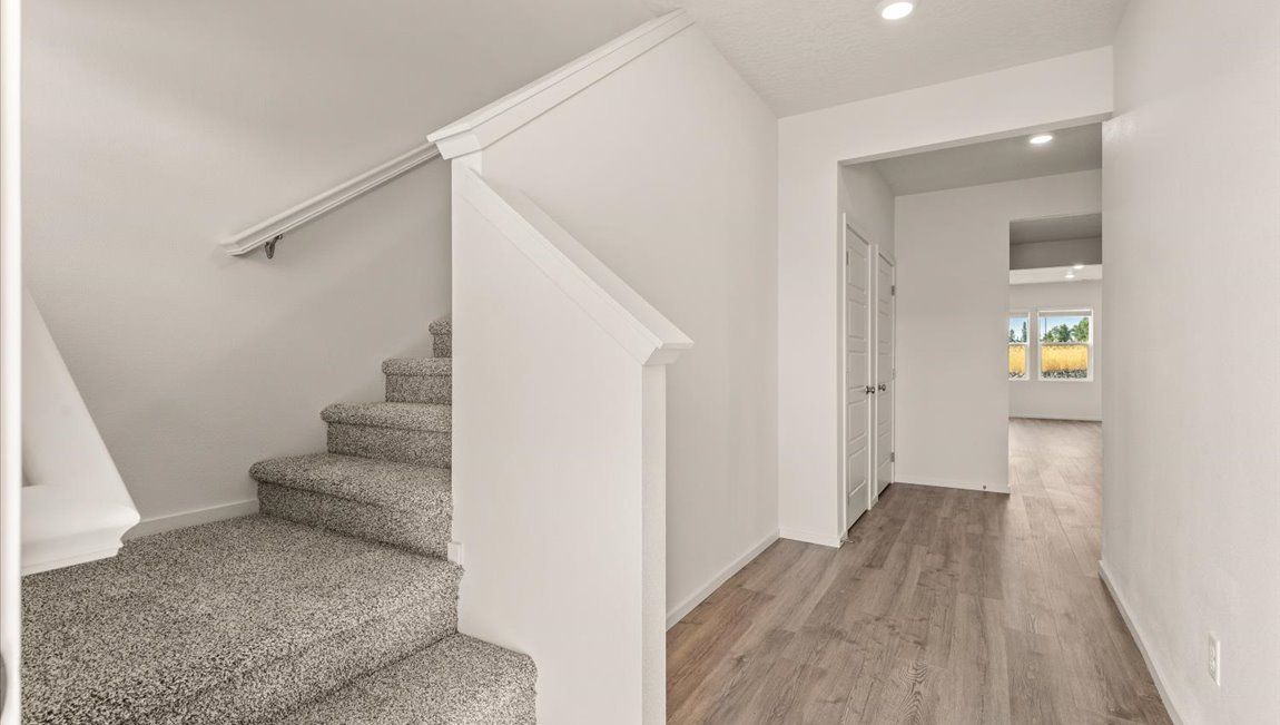 Elevation Image 1.