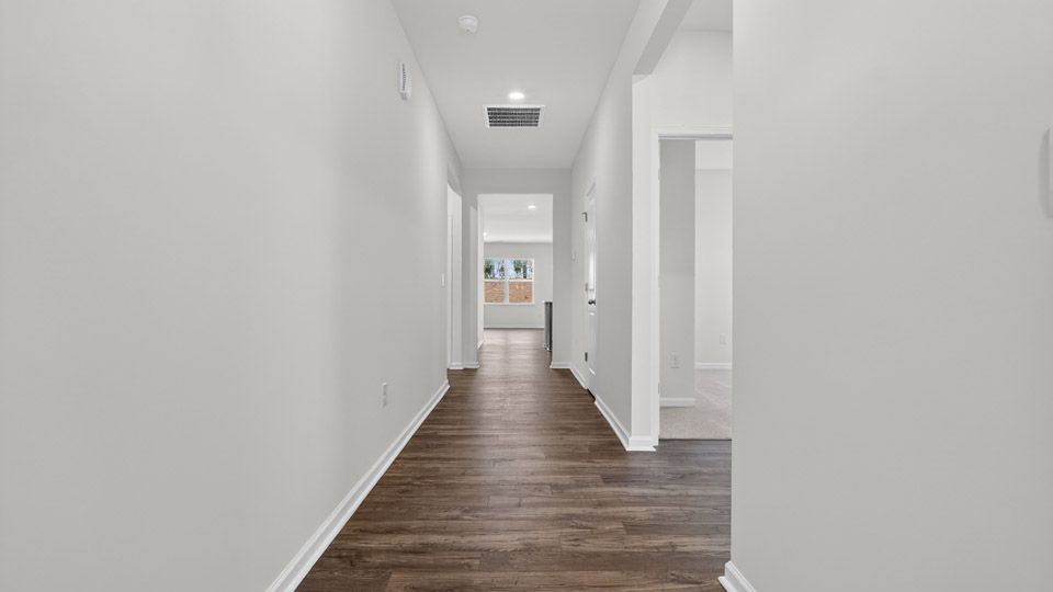 Elevation Image 3.