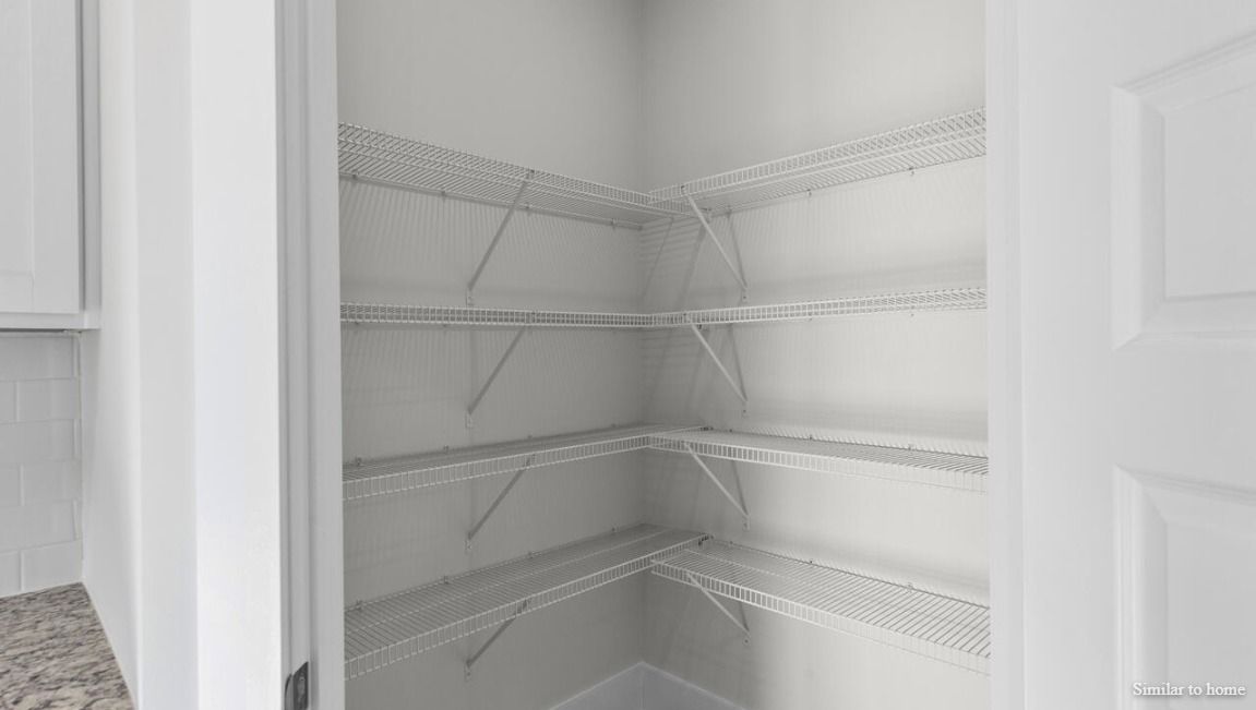 Elevation Image 3.