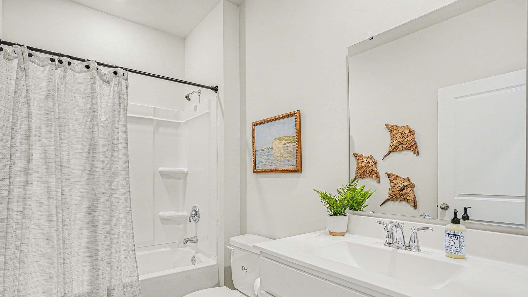 Elevation Image 8.