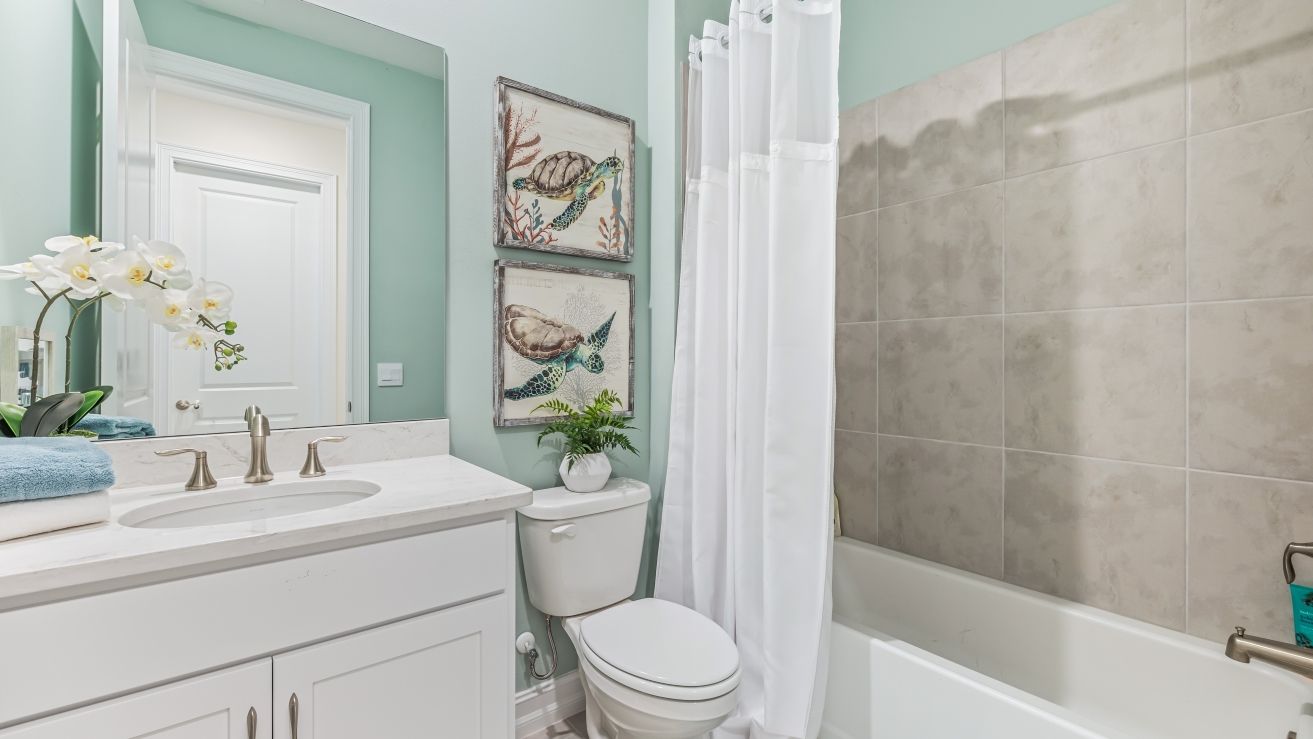 Elevation Image 15.