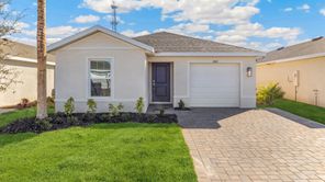 11317 SUNSET PRESERVE DR (CAMERON)