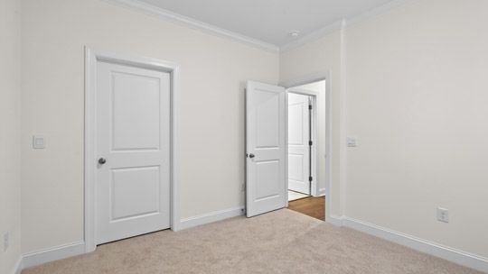 Elevation Image 12.