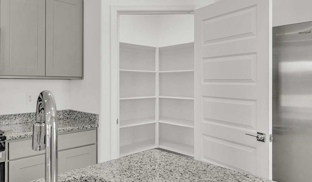 Elevation Image 6.