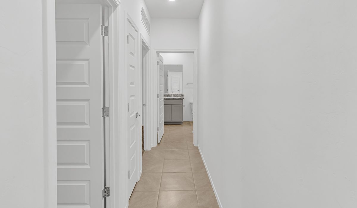 Elevation Image 14.