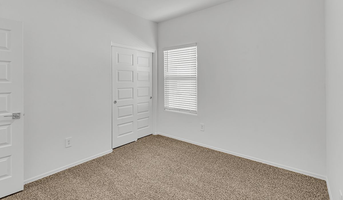 Elevation Image 15.