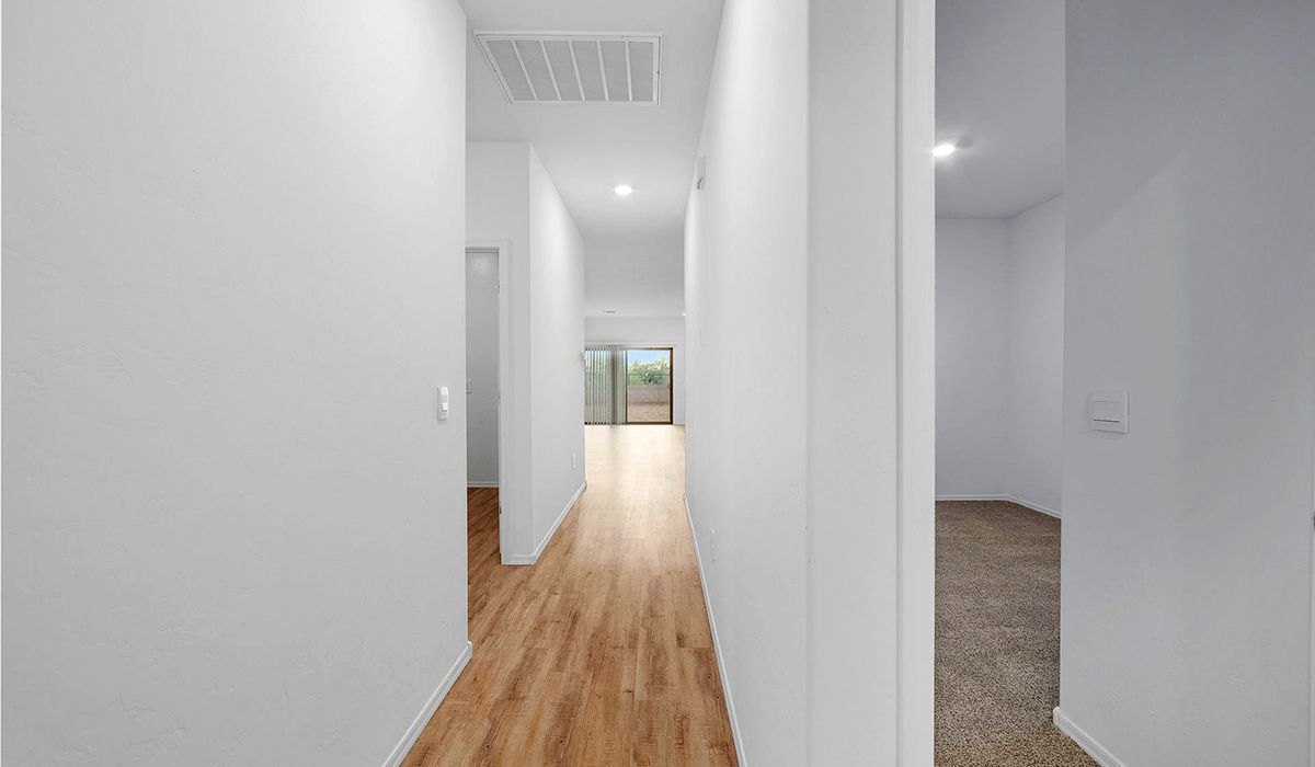Elevation Image 3.