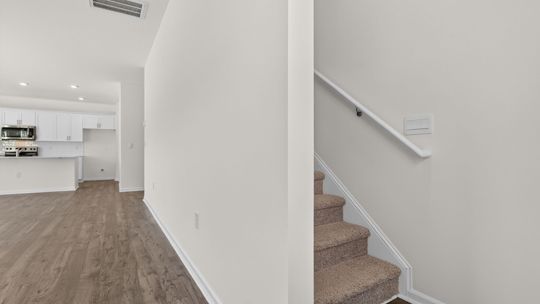Elevation Image 15.