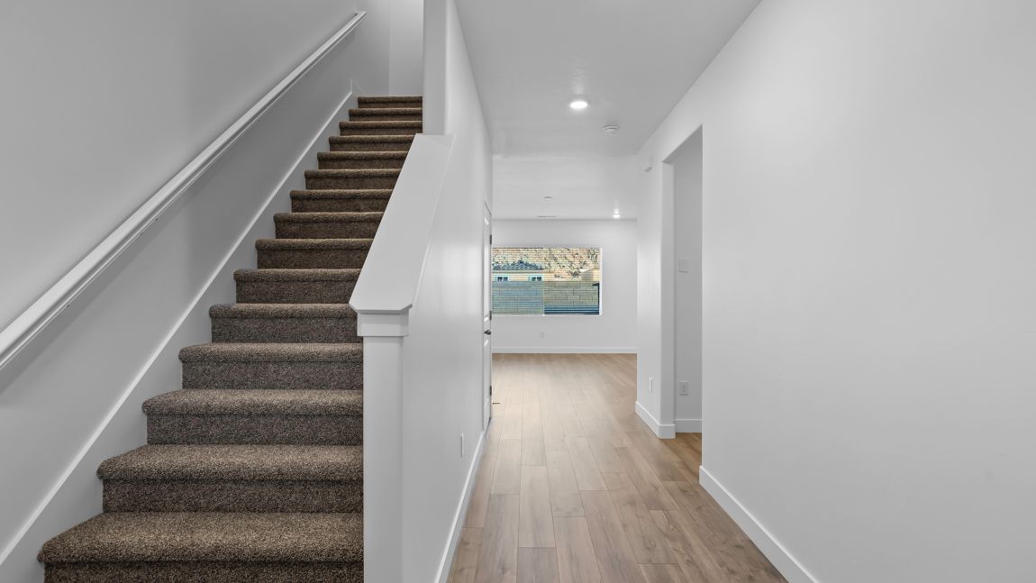 Elevation Image 1.