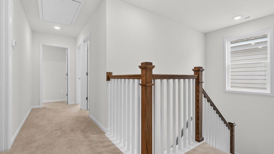 Elevation Image 15.