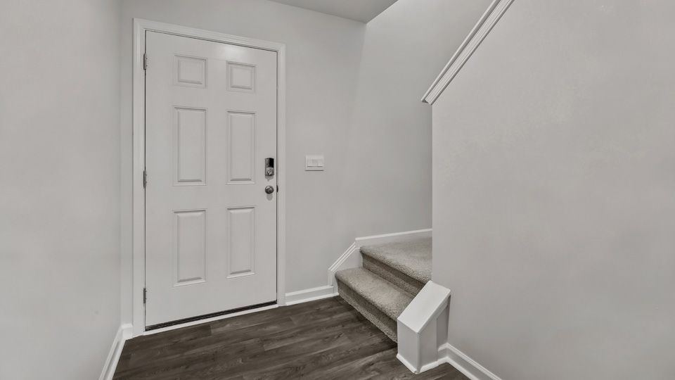 Elevation Image 3.