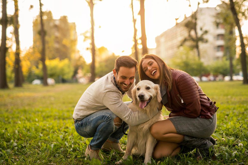 Subdivision Image 36