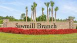 Sawmill Branch Express - Palm Coast, FL