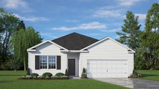 CALI - Owens Ridge: Lexington, North Carolina - D.R. Horton