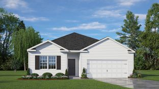 CALI - Raven Ridge: Lexington, North Carolina - D.R. Horton