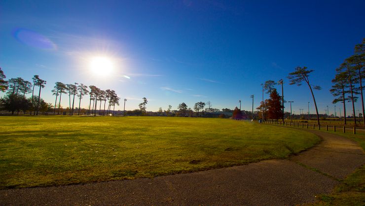 Subdivision Image 16