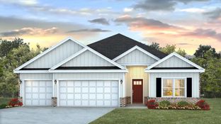 The Destin - Reserve at Brookhaven: Cantonment, Florida - D.R. Horton