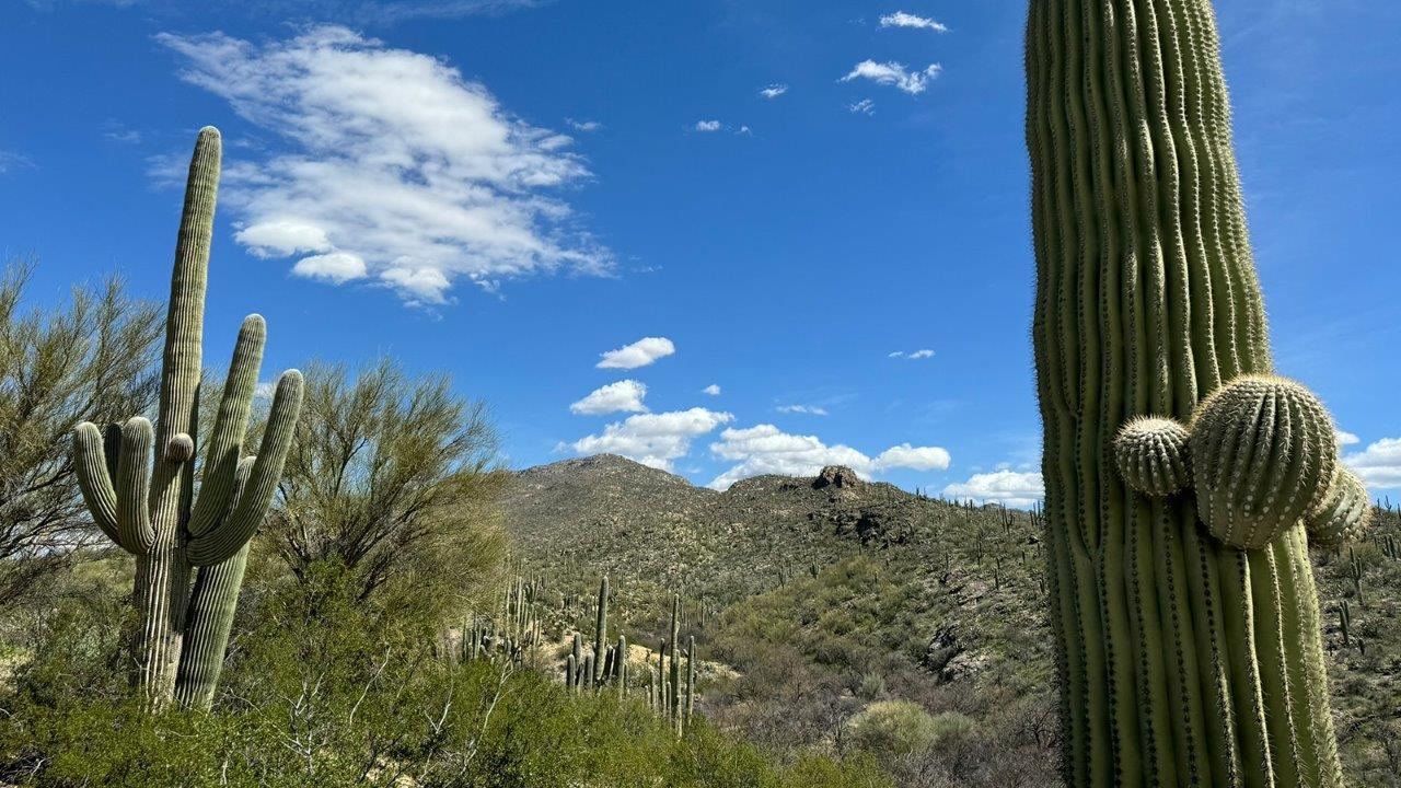 Subdivision Image 116