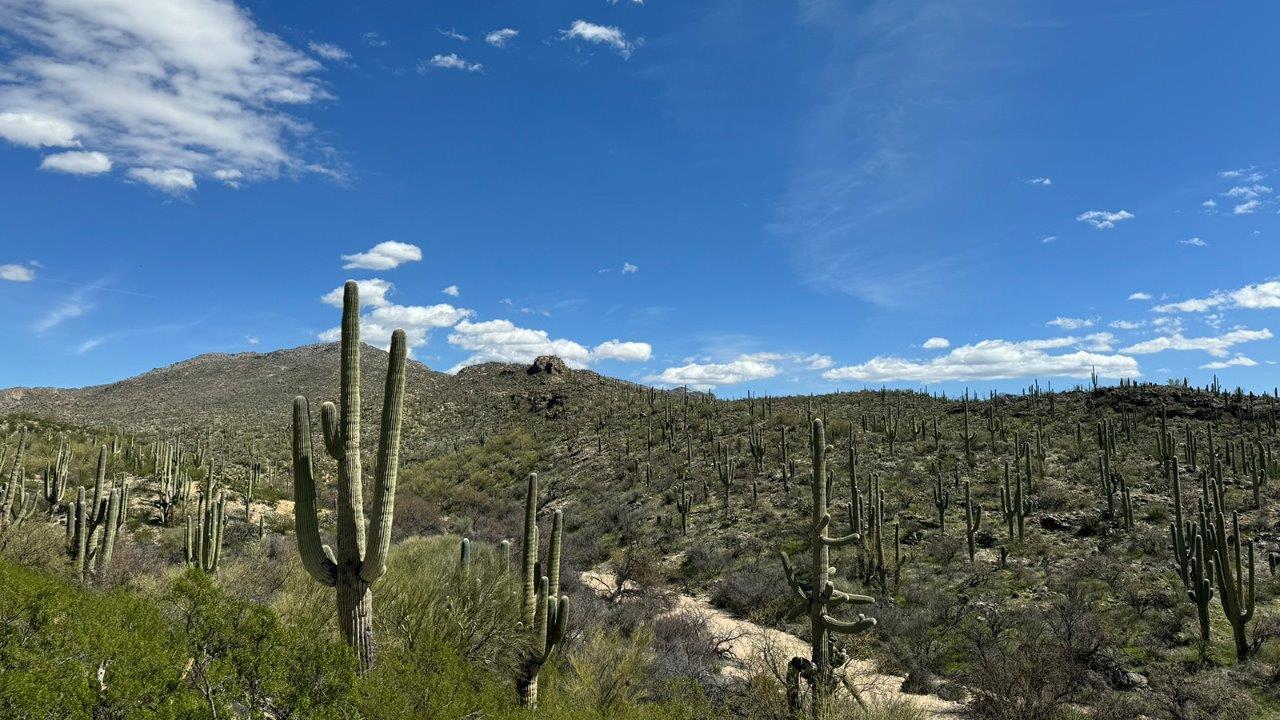 Subdivision Image 117