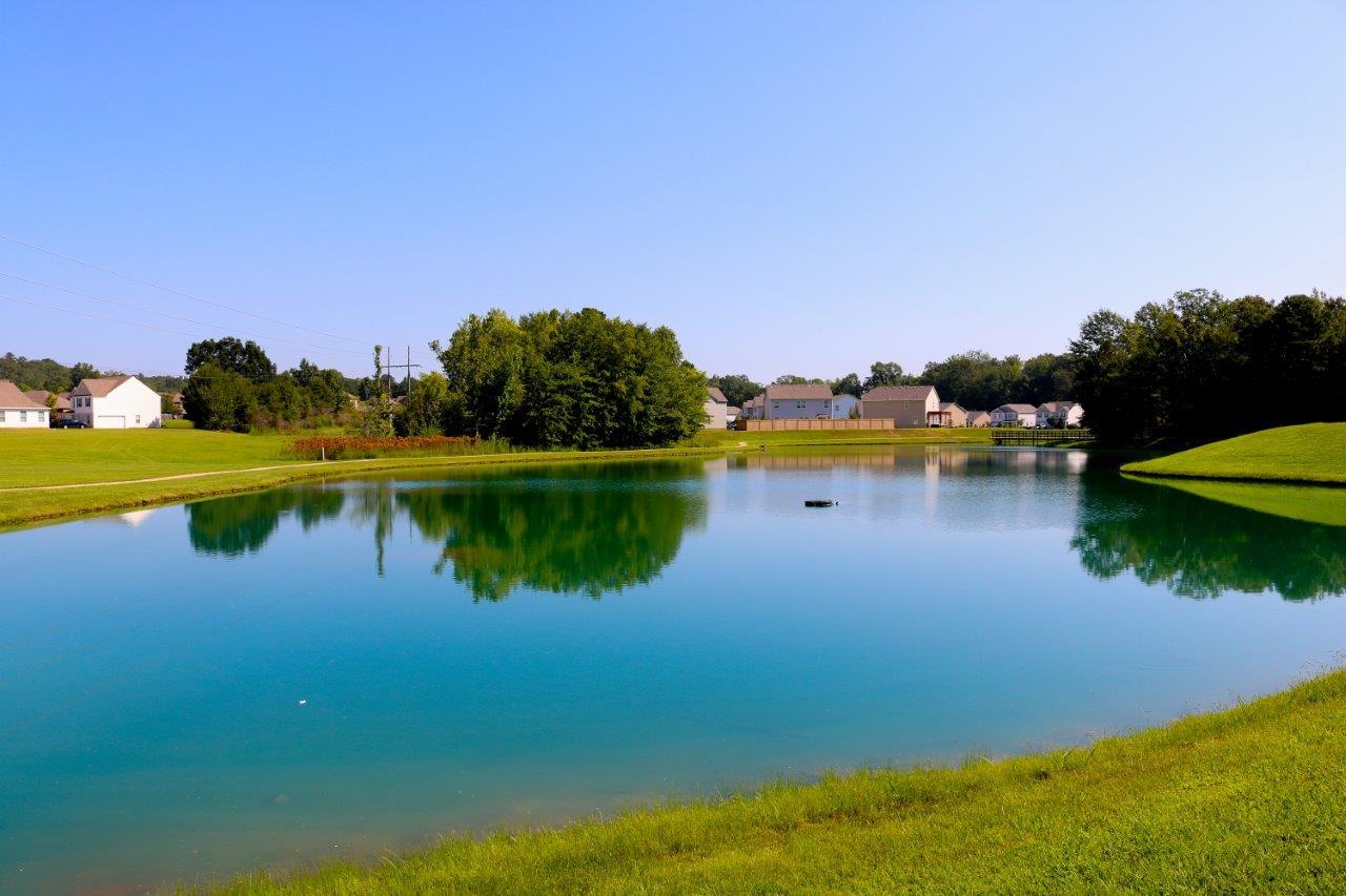 Subdivision Image 28