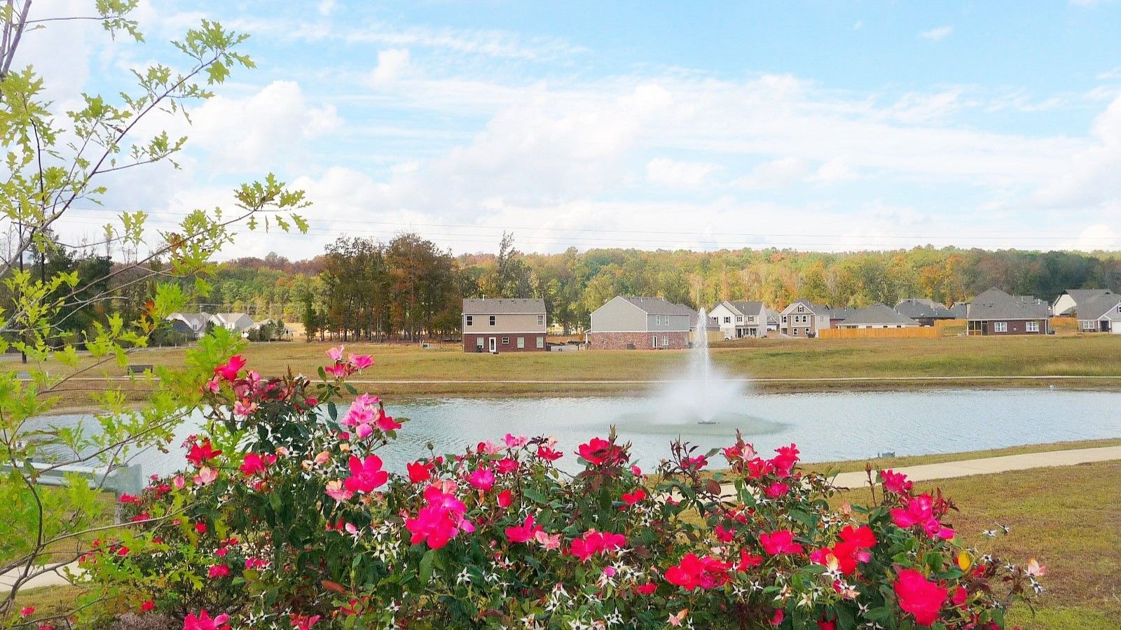 Subdivision Image 25