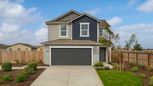 Olive Lane - Fresno, CA