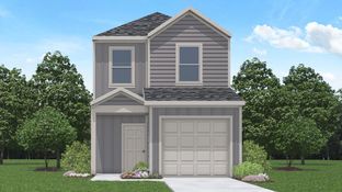 Ash - The Villas at Legacy Park: Houston, Texas - D.R. Horton
