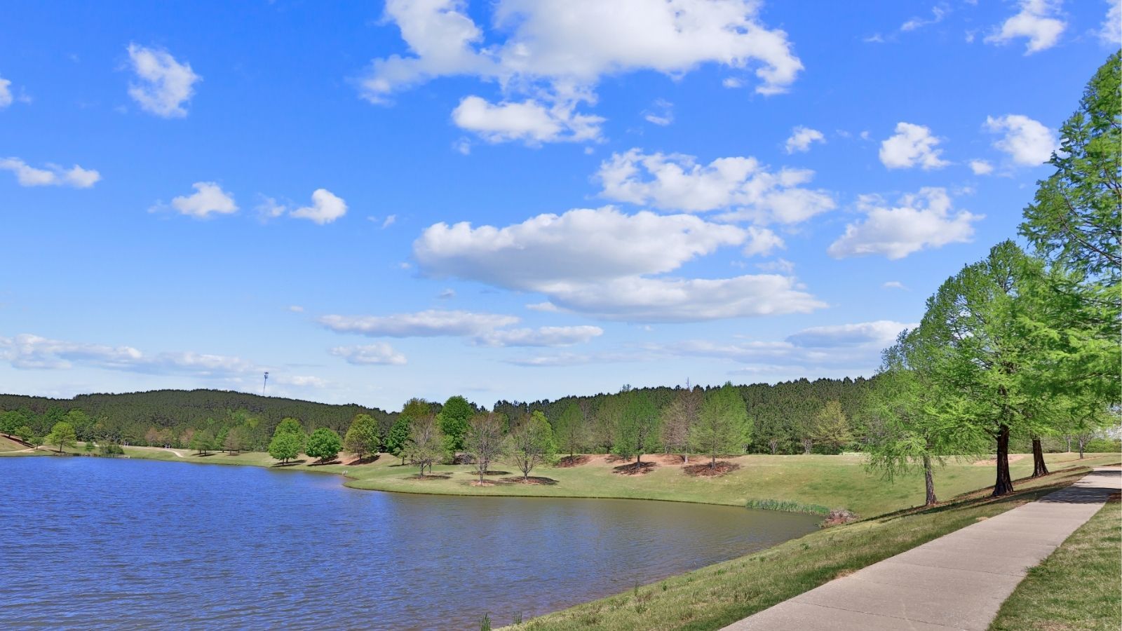 Subdivision Image 57