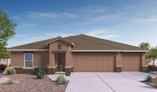 Jerome - Saguaro Bloom: Marana, Arizona - D.R. Horton