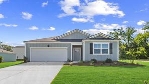 203 BOSTON FERN LANE (Lakeside)