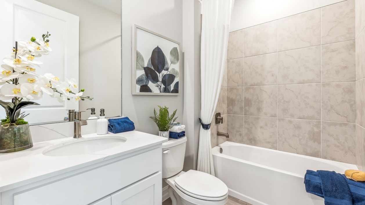 Subdivision Image 44