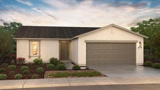 Madison - Abbey Court: Bakersfield, California - D.R. Horton