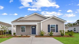 Perry - Rice Hope: Prt Wentworth, South Carolina - D.R. Horton