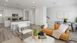 Hibiscus - Grand West: Houston, Texas - D.R. Horton