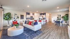 Juno Pointe - North Las Vegas, NV