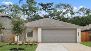 Diana - Venetian Pines: Conroe, Texas - D.R. Horton